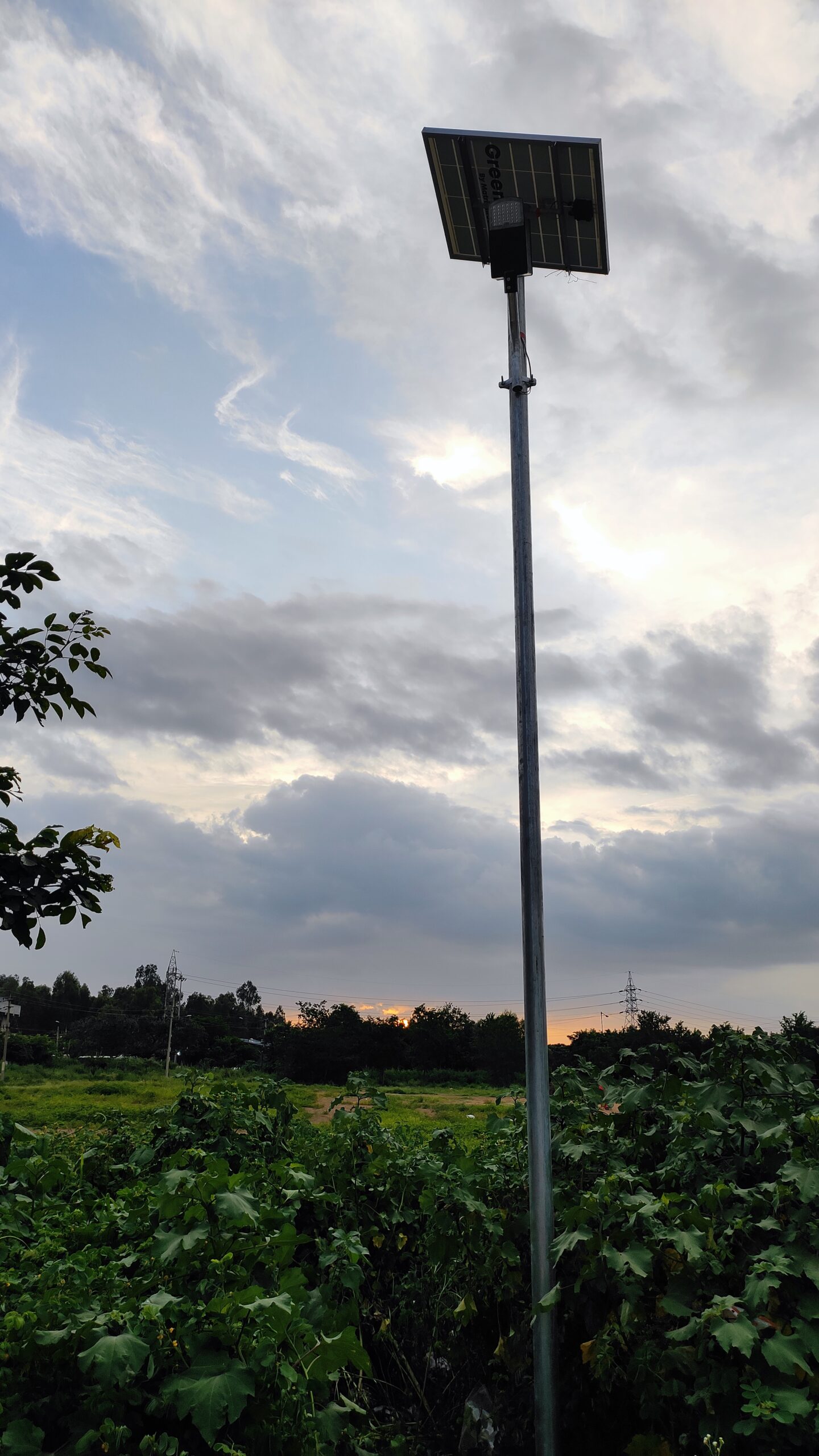 Solar Street light